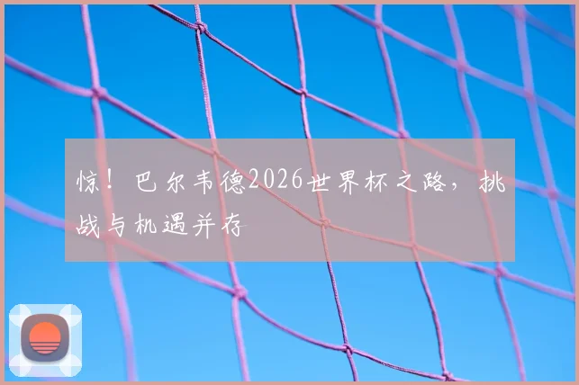 惊！巴尔韦德2026世界杯之路，挑战与机遇并存