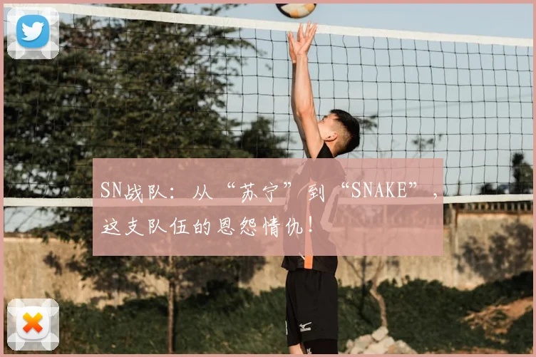SN战队：从“苏宁”到“SNAKE”，这支队伍的恩怨情仇！