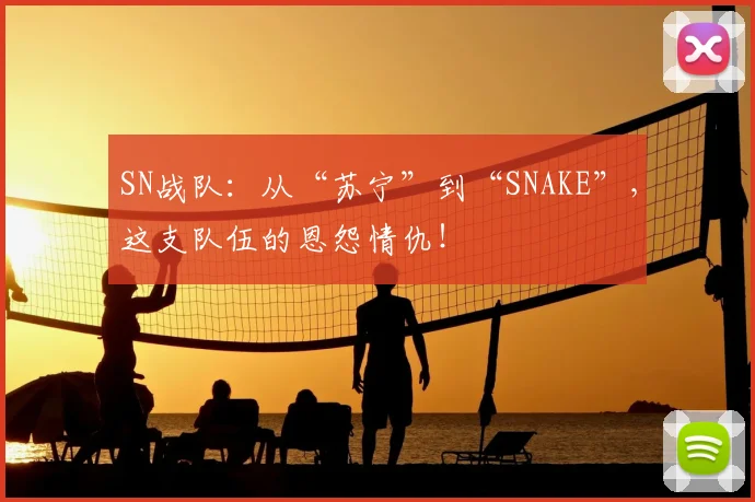 SN战队：从“苏宁”到“SNAKE”，这支队伍的恩怨情仇！