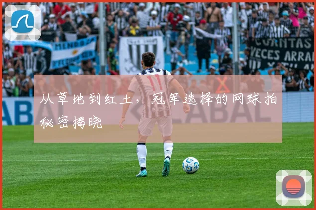 从草地到红土，冠军选择的网球拍秘密揭晓